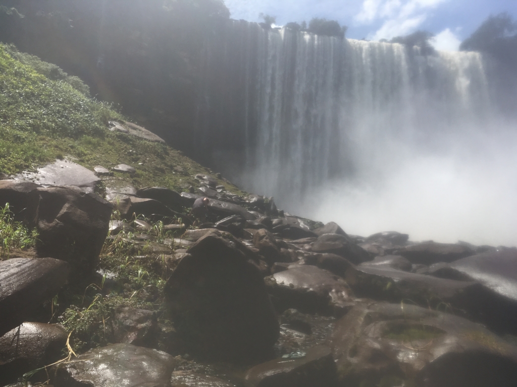 f:id:baobab-no-ki:20170323230250j:plain