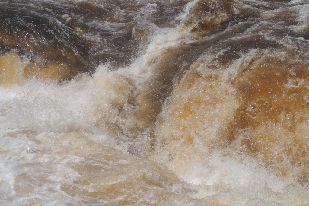 f:id:baobab-no-ki:20170323230353j:plain