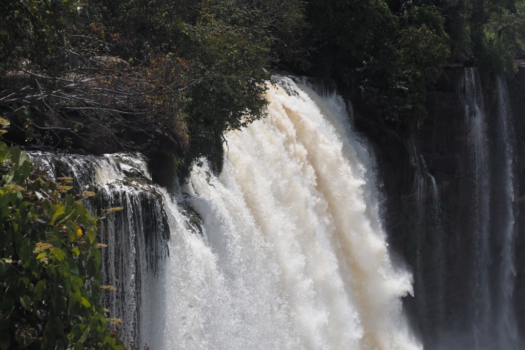 f:id:baobab-no-ki:20170323231547j:plain