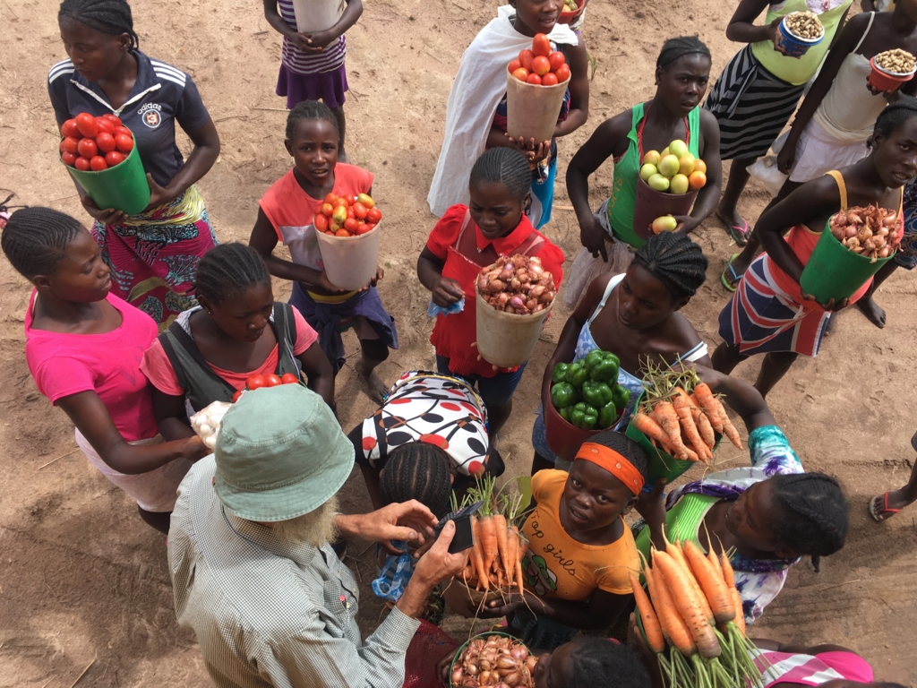 f:id:baobab-no-ki:20170405010426j:plain