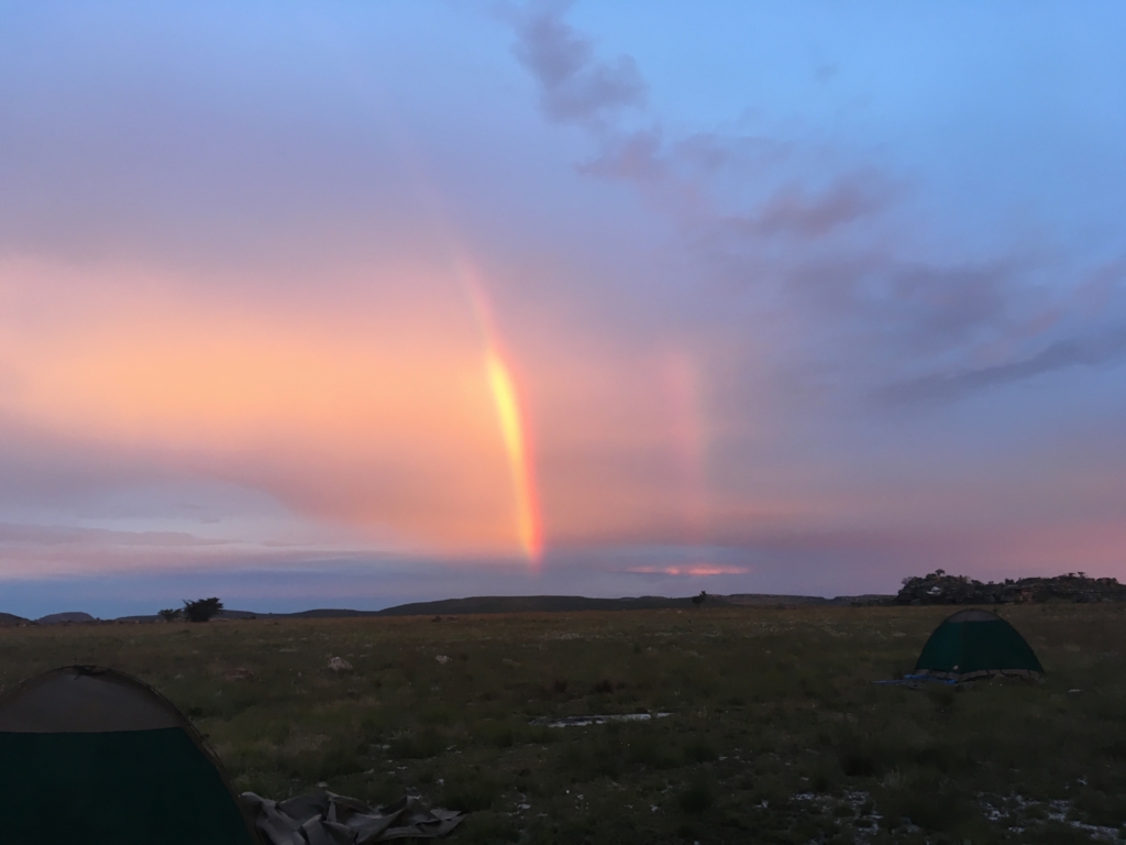 f:id:baobab-no-ki:20170405015818j:plain