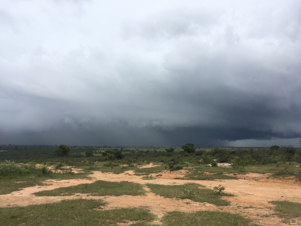 f:id:baobab-no-ki:20170405020507j:plain