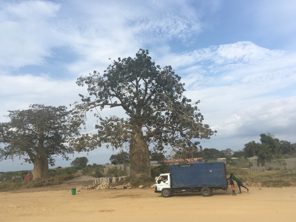 f:id:baobab-no-ki:20170405024352j:plain