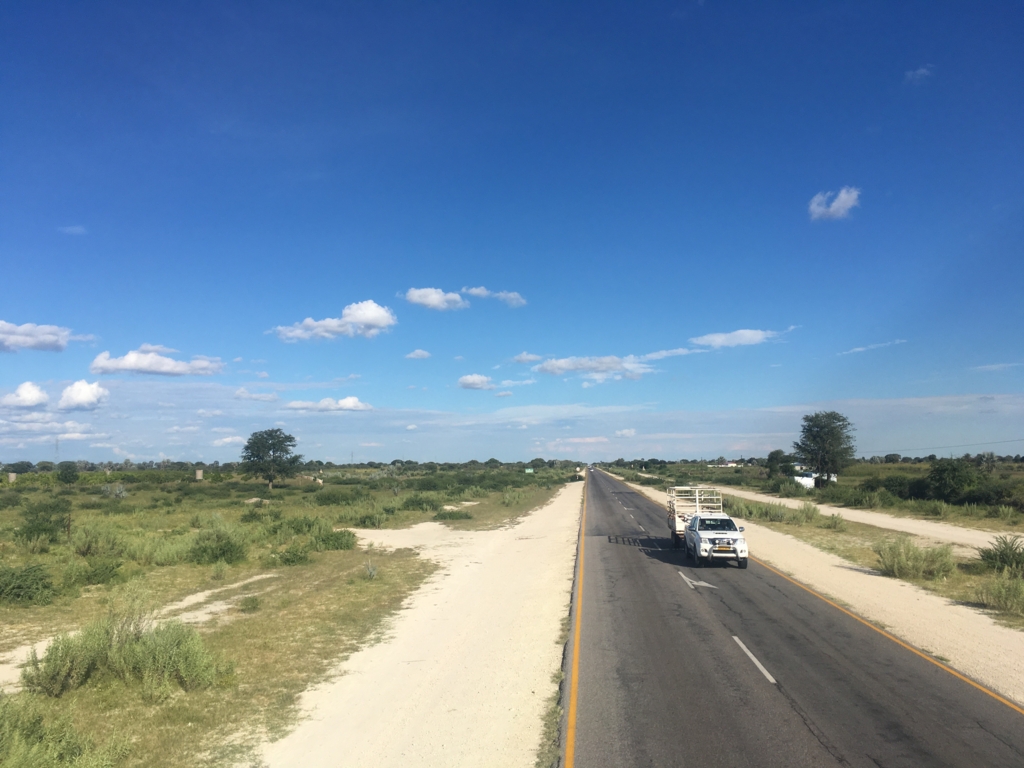 f:id:baobab-no-ki:20170405025337j:plain