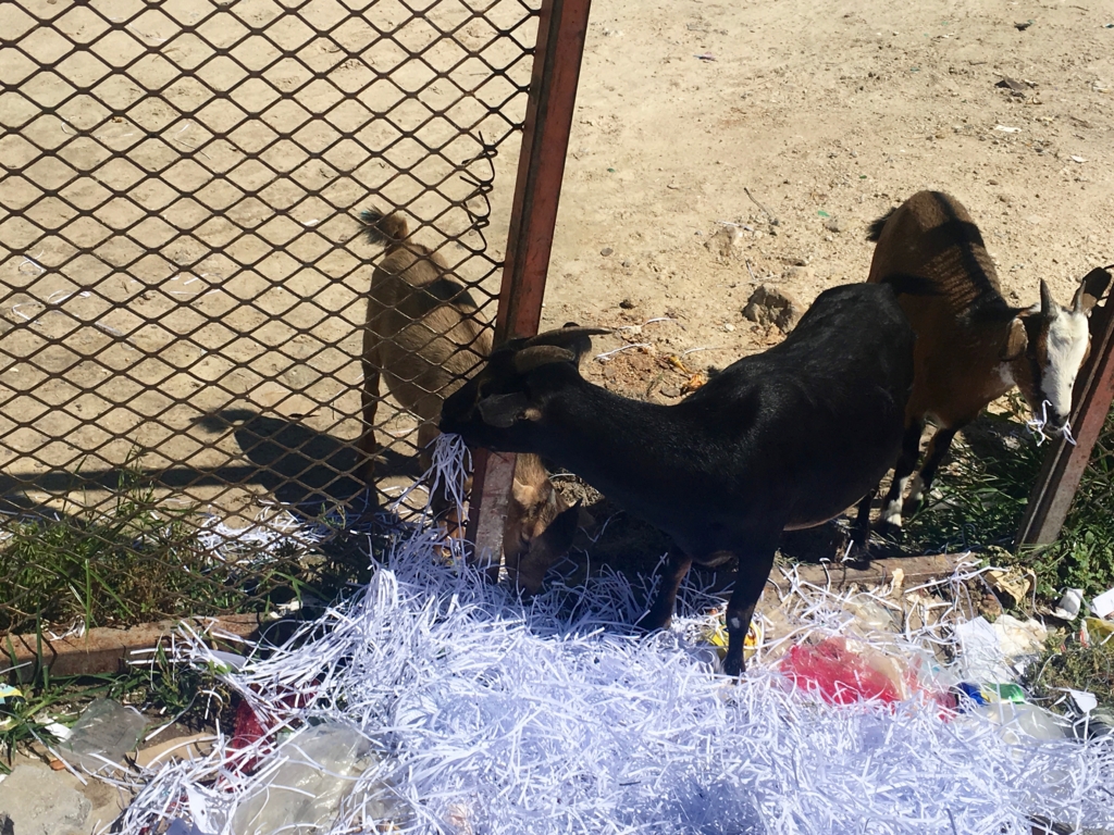 f:id:baobab-no-ki:20170405030132j:plain