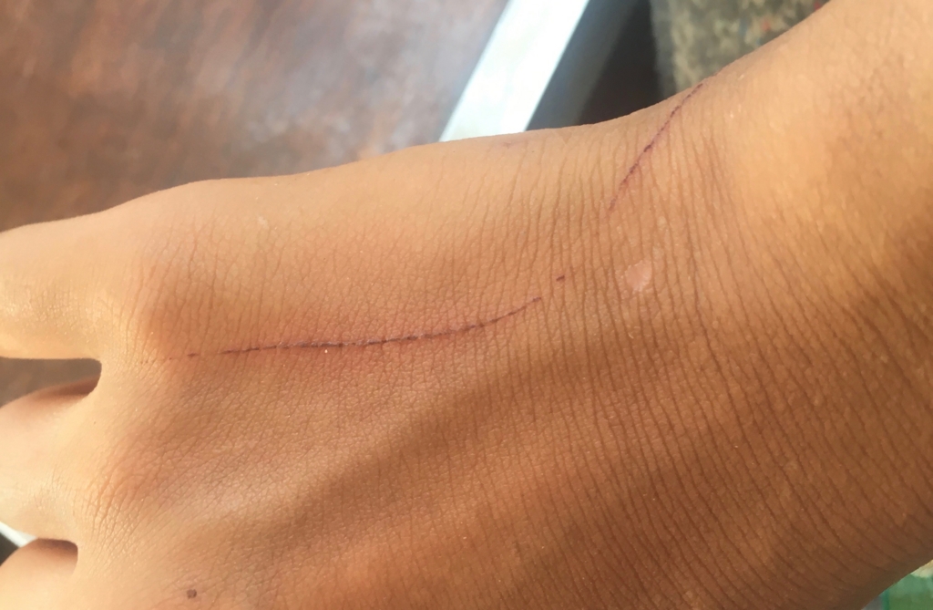 f:id:baobab-no-ki:20170405033909j:plain