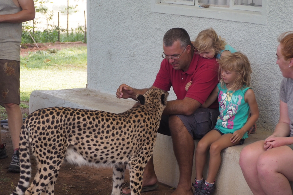 f:id:baobab-no-ki:20170405041218j:plain