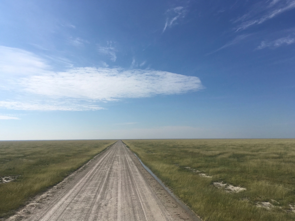 f:id:baobab-no-ki:20170405041443j:plain