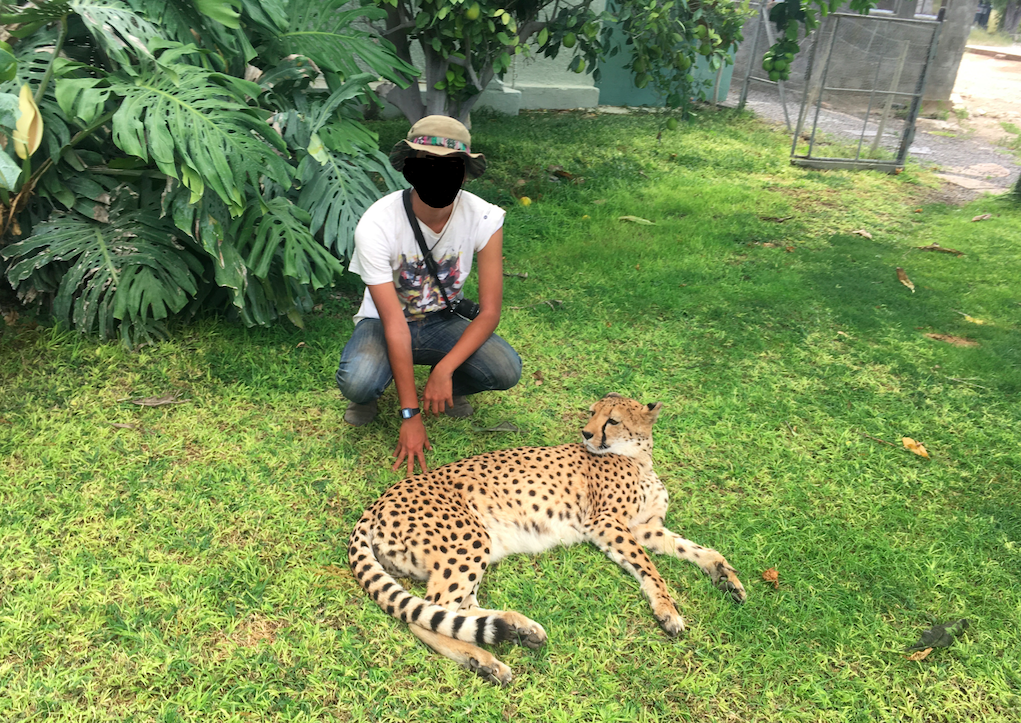 f:id:baobab-no-ki:20170405184457p:plain