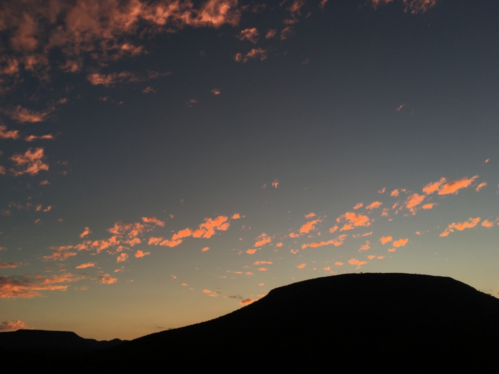 f:id:baobab-no-ki:20170405194807j:plain