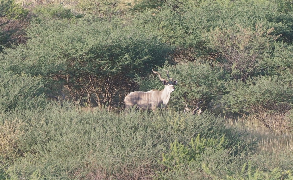 f:id:baobab-no-ki:20170412050436j:plain