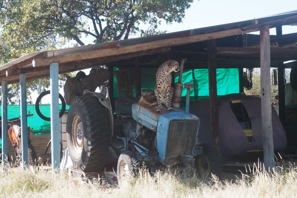 f:id:baobab-no-ki:20170511174312j:plain