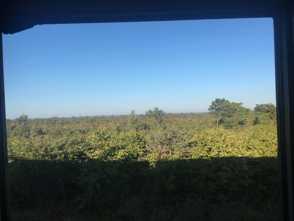 f:id:baobab-no-ki:20170529203431j:plain