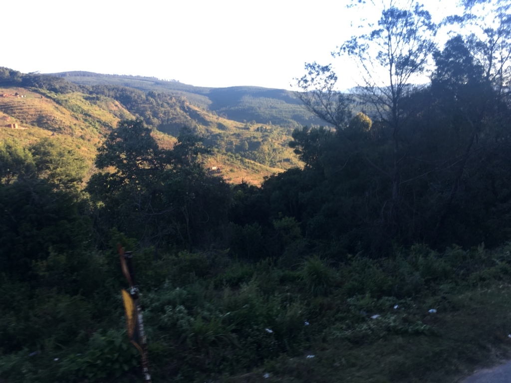 f:id:baobab-no-ki:20170613024422j:plain