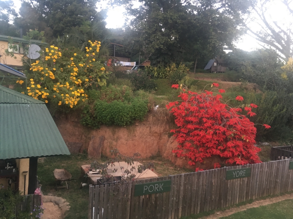 f:id:baobab-no-ki:20170613034809j:plain