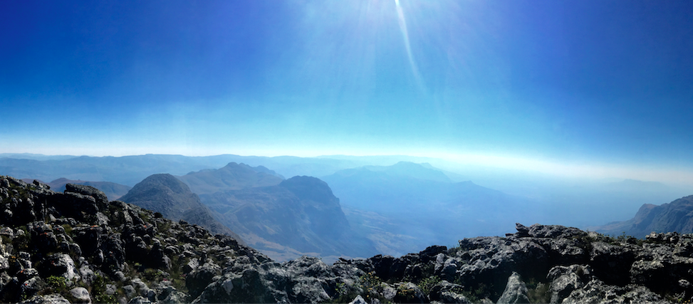 f:id:baobab-no-ki:20170613035740p:plain