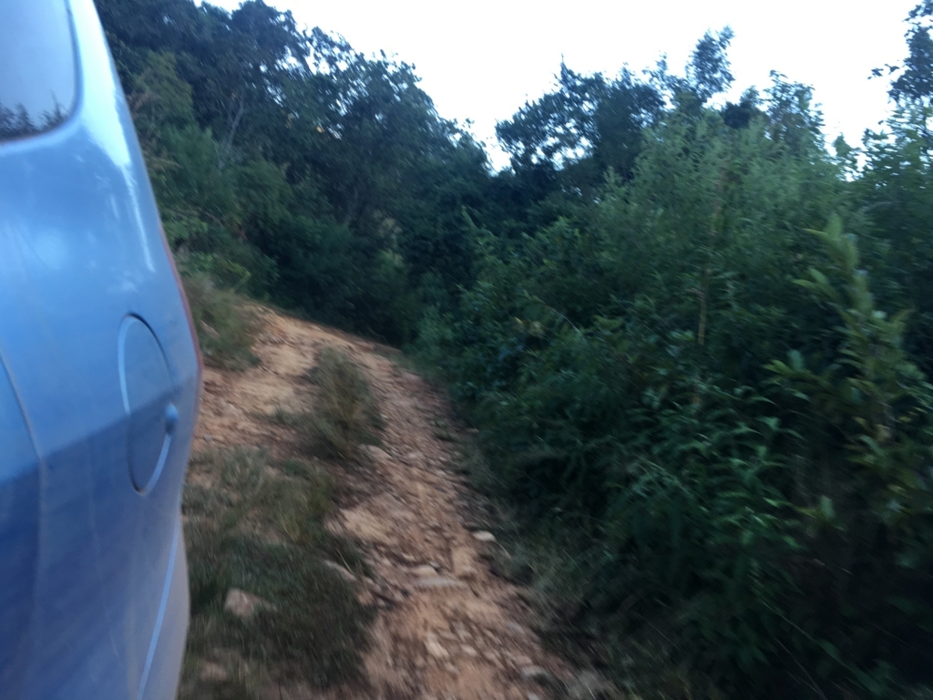 f:id:baobab-no-ki:20170613035927j:plain