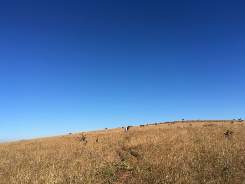 f:id:baobab-no-ki:20170613044219j:plain