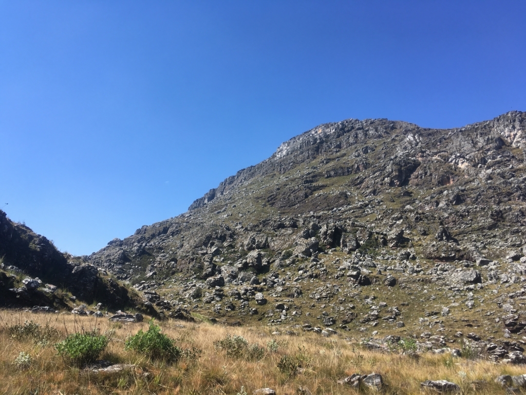 f:id:baobab-no-ki:20170613053312j:plain