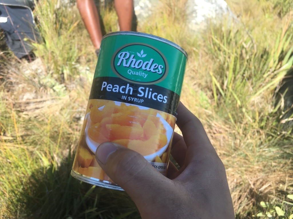 f:id:baobab-no-ki:20170613053414j:plain