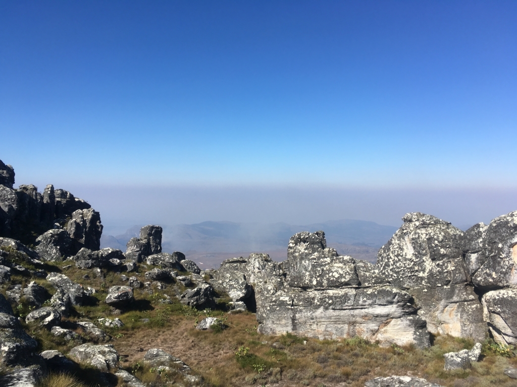 f:id:baobab-no-ki:20170613054125j:plain