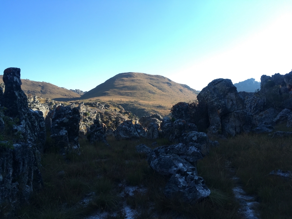 f:id:baobab-no-ki:20170613054808j:plain