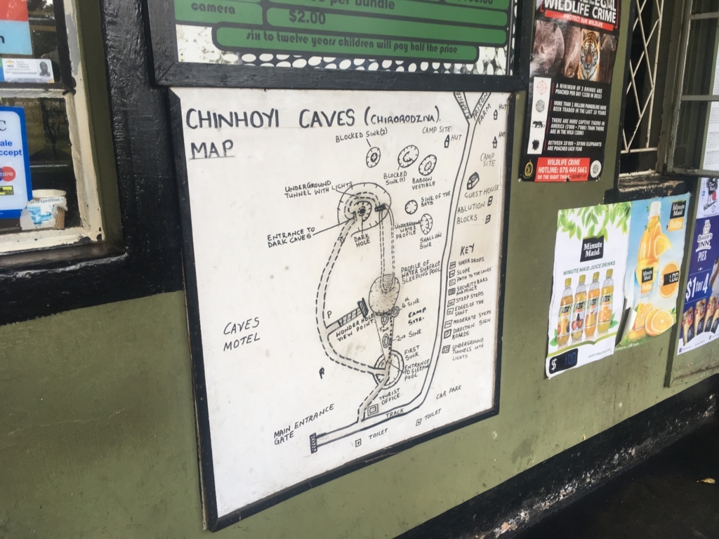 f:id:baobab-no-ki:20170613065501j:plain