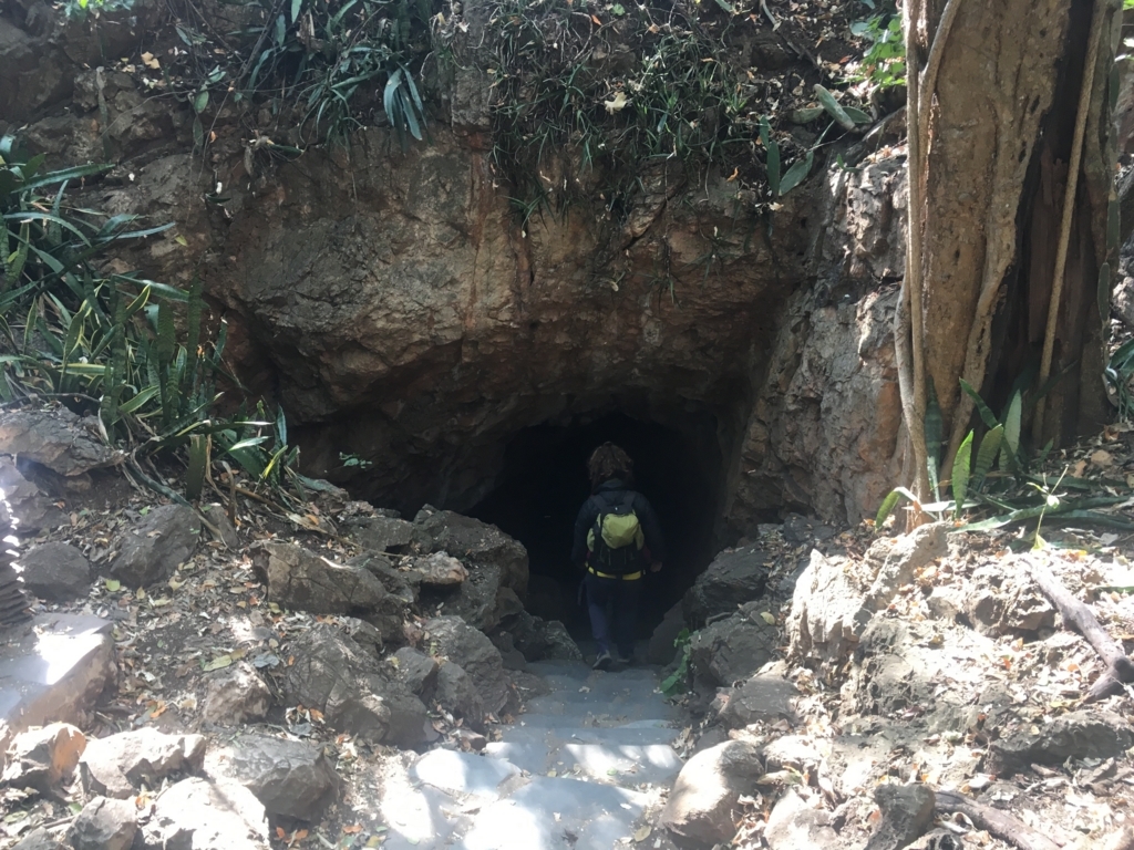 f:id:baobab-no-ki:20170613065612j:plain