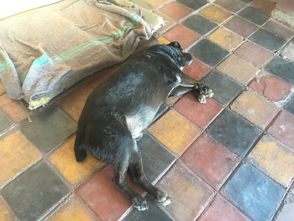 f:id:baobab-no-ki:20170613065701j:plain