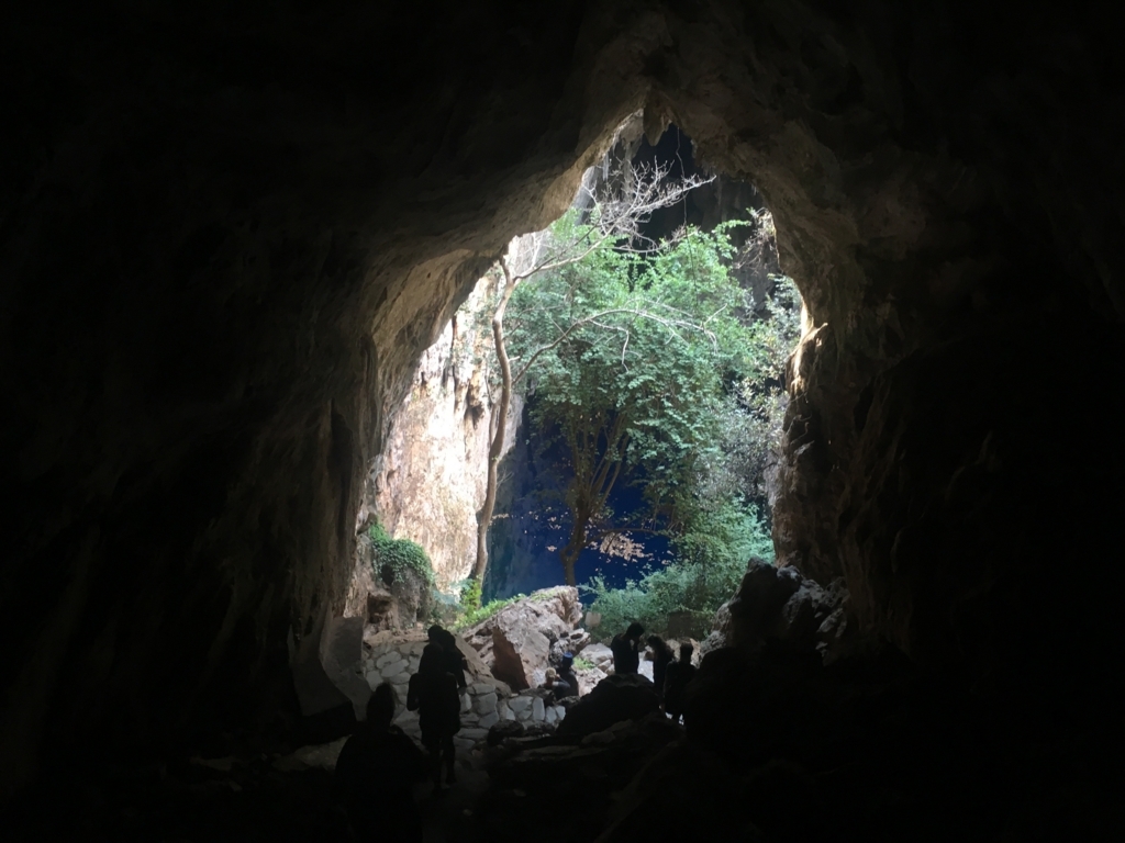 f:id:baobab-no-ki:20170613065752j:plain