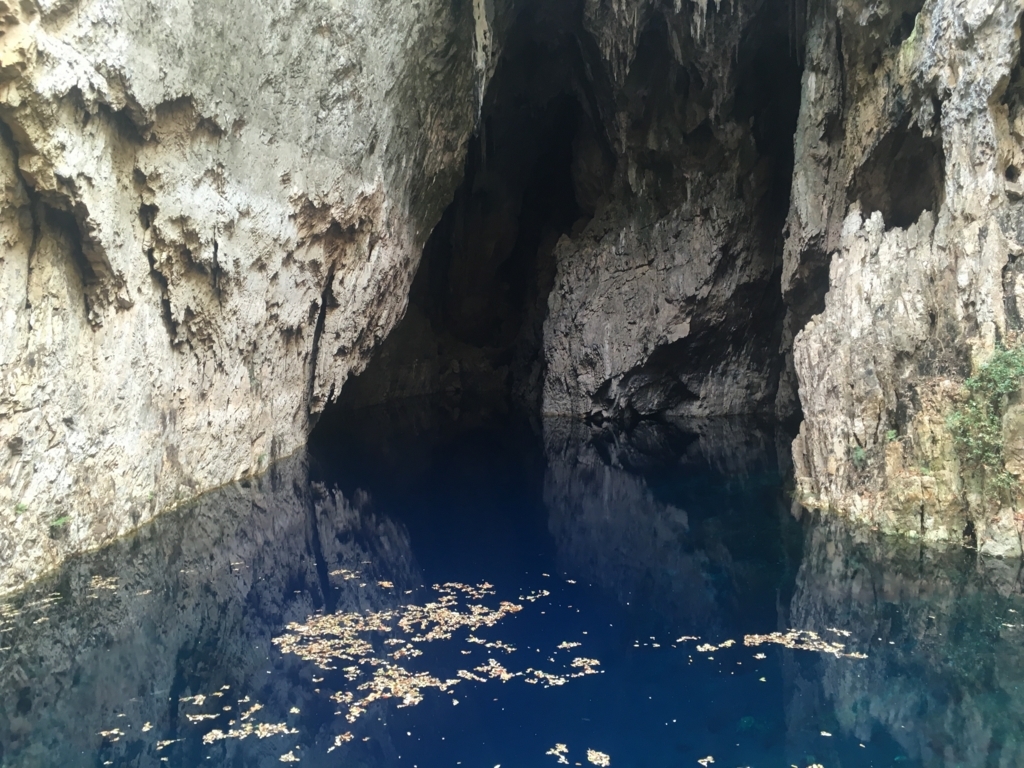 f:id:baobab-no-ki:20170613070514j:plain