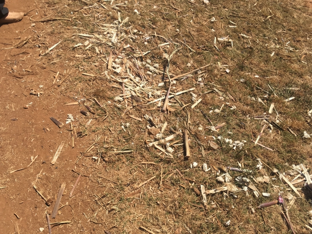 f:id:baobab-no-ki:20170614012049j:plain