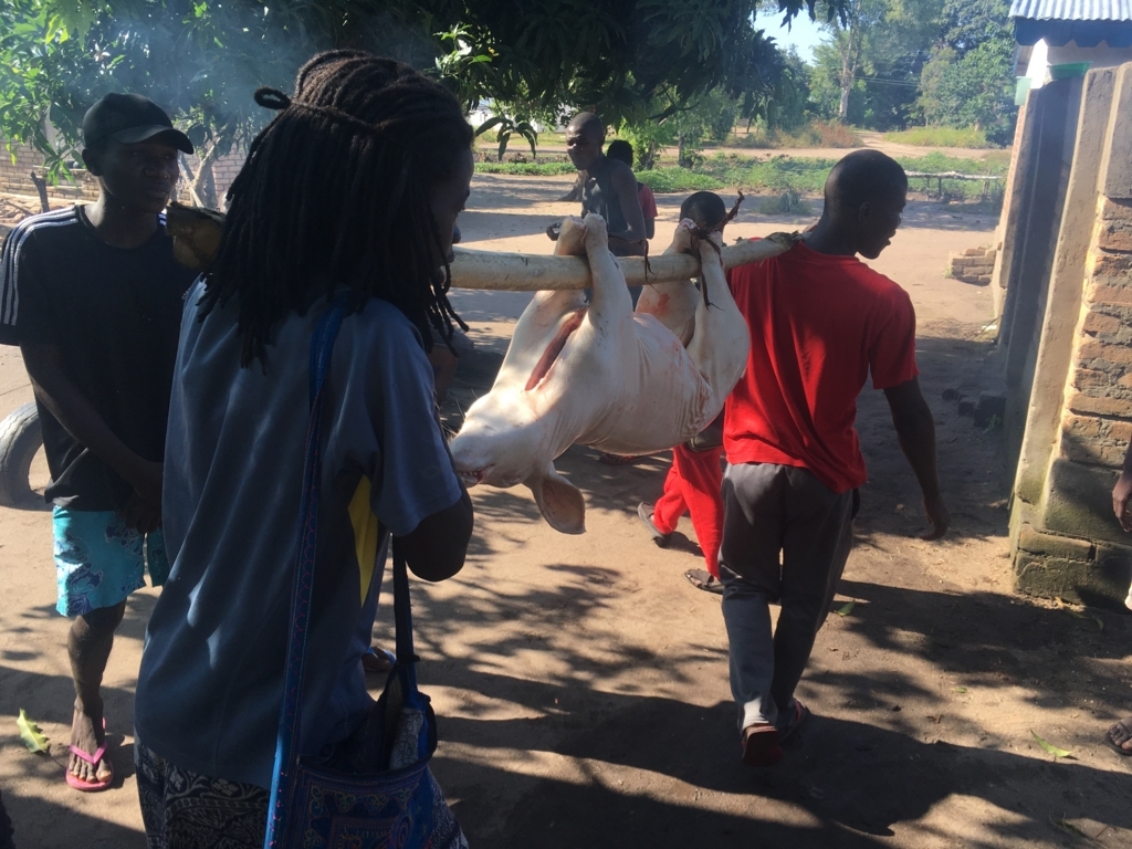 f:id:baobab-no-ki:20170616165920j:plain