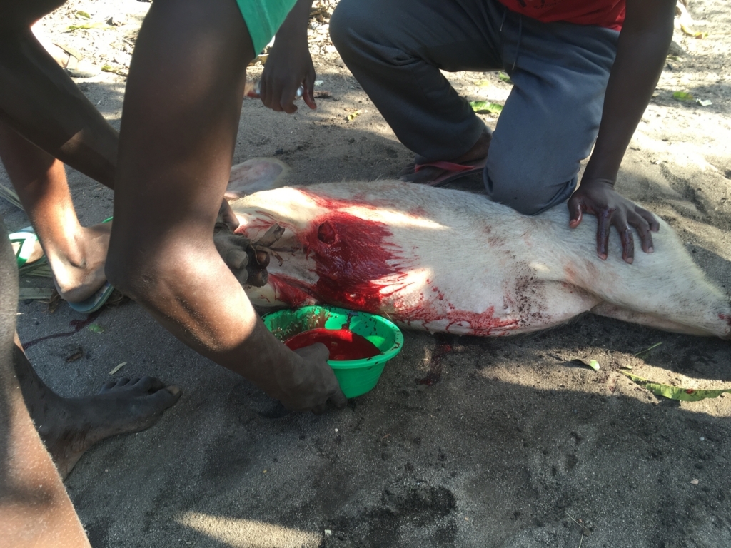 f:id:baobab-no-ki:20170616170048j:plain