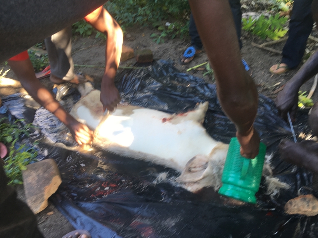 f:id:baobab-no-ki:20170616170130j:plain