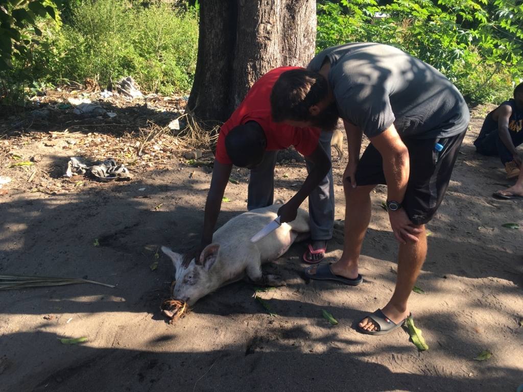 f:id:baobab-no-ki:20170616170221j:plain