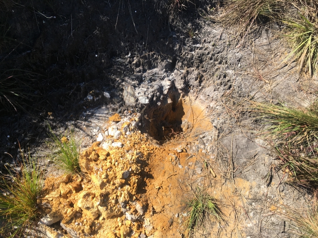 f:id:baobab-no-ki:20180110163842j:plain