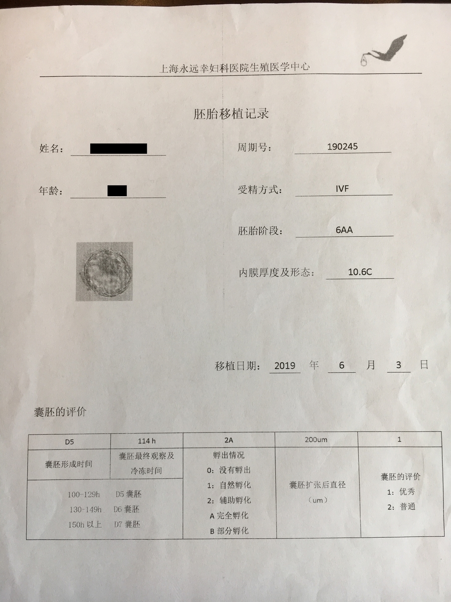 f:id:baobaoroku:20190609122701j:plain f:id:baobaoroku:20190609122701j:plain