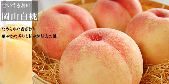 f:id:baouthereal:20180808090419j:plain f:id:baouthereal:20180808090419j:plain