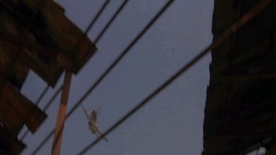 f:id:baphoo:20110418110253j:image