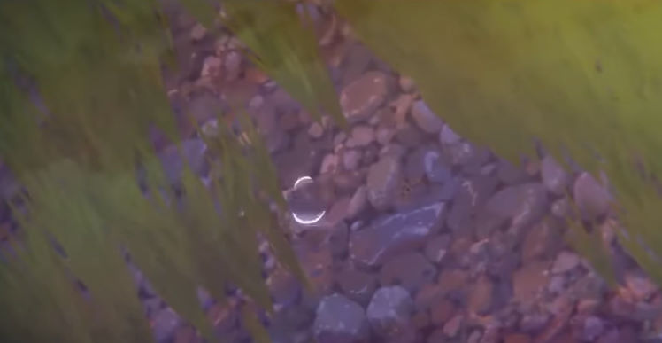 f:id:baphoo:20180913221629j:plain f:id:baphoo:20180913221629j:plain