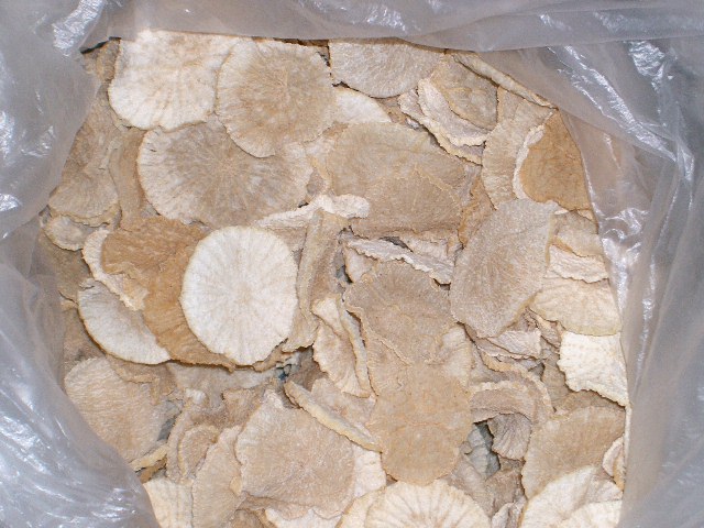 f:id:bar-oak:20030101000456j:plain