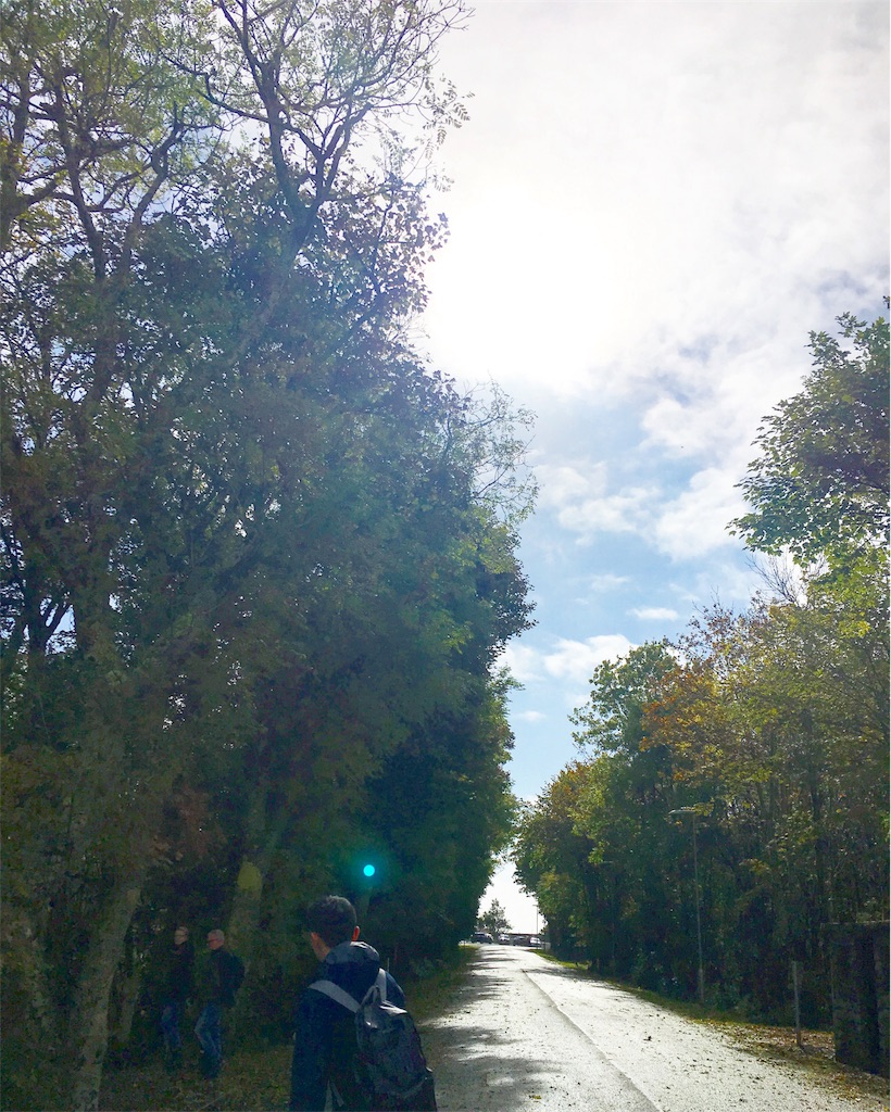 f:id:bar-polaris:20171122221117j:image