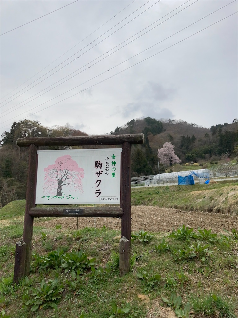 f:id:bar_yamagoya:20210406194322j:image f:id:bar_yamagoya:20210406194322j:image