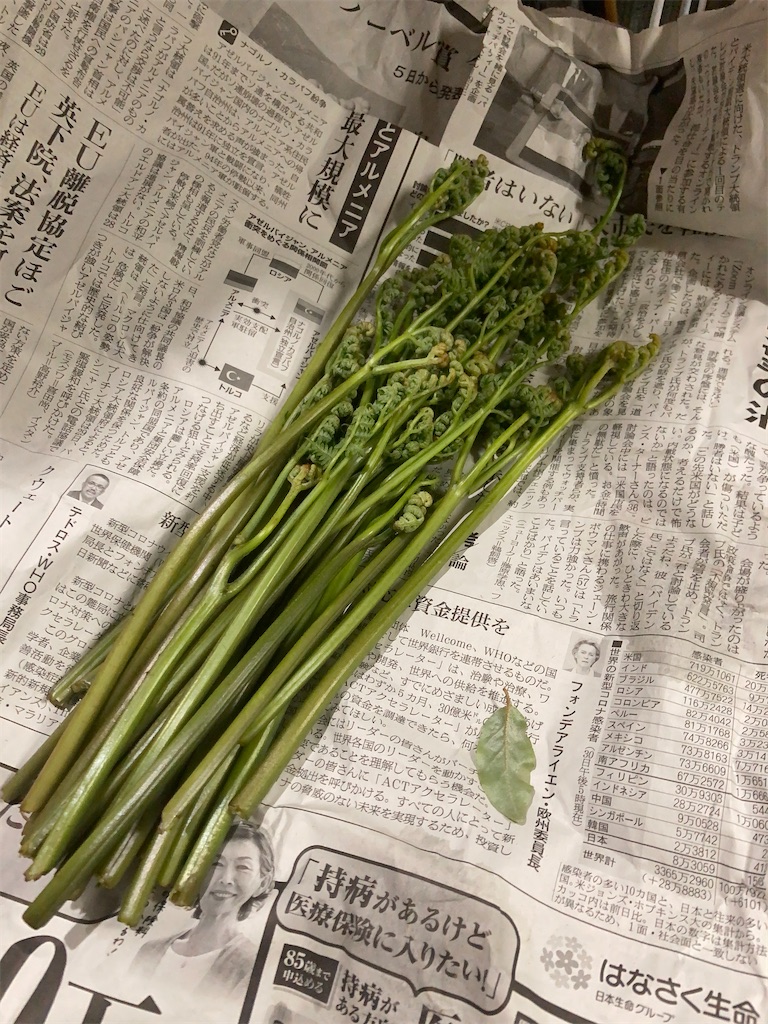 f:id:bar_yamagoya:20210618182145j:image f:id:bar_yamagoya:20210618182145j:image