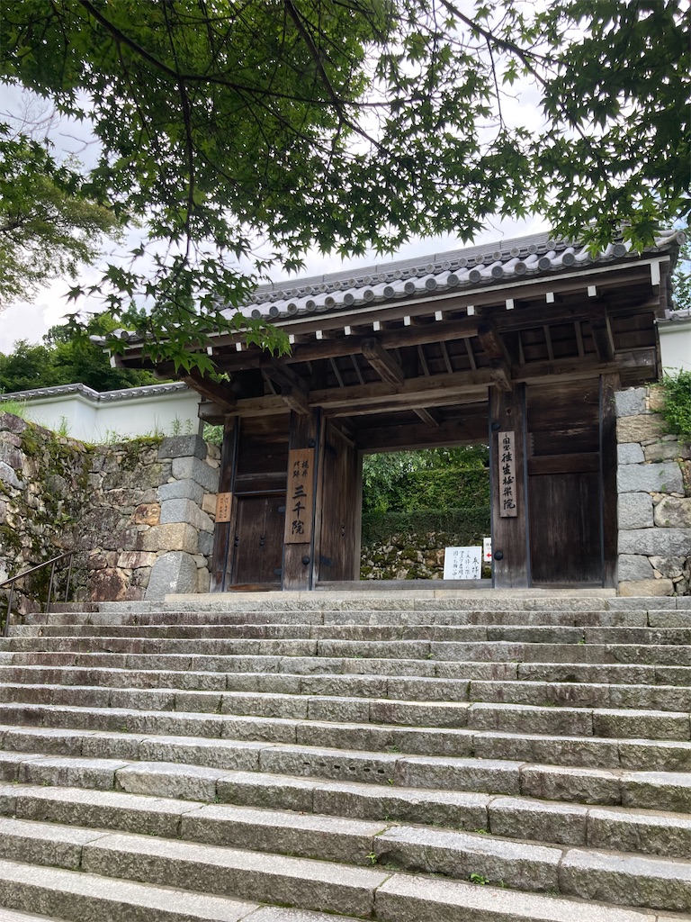 f:id:bar_yamagoya:20210721093515j:image f:id:bar_yamagoya:20210721093515j:image