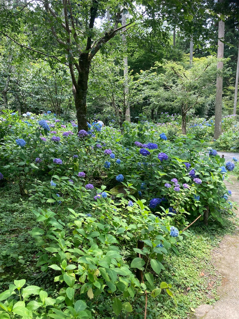 f:id:bar_yamagoya:20210721093747j:image f:id:bar_yamagoya:20210721093747j:image
