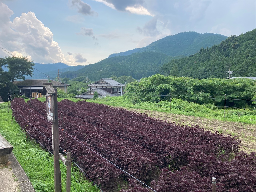 f:id:bar_yamagoya:20210721093812j:image f:id:bar_yamagoya:20210721093812j:image