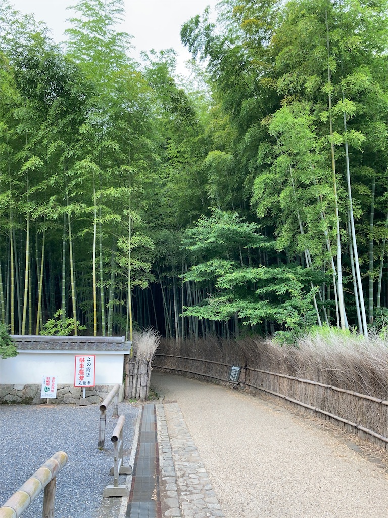 f:id:bar_yamagoya:20210726083624j:image f:id:bar_yamagoya:20210726083624j:image