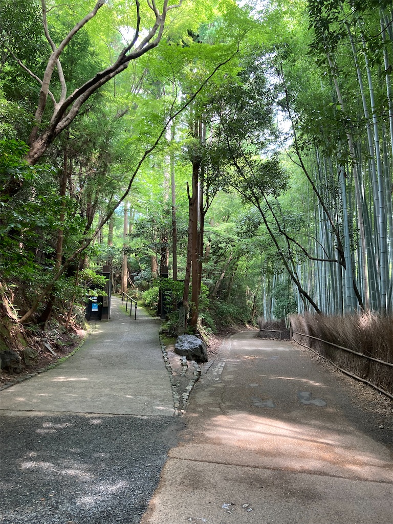 f:id:bar_yamagoya:20210726083633j:image f:id:bar_yamagoya:20210726083633j:image